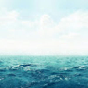 Meet your Posher, Syed